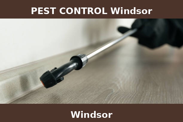 PEST CONTROL Windsor
